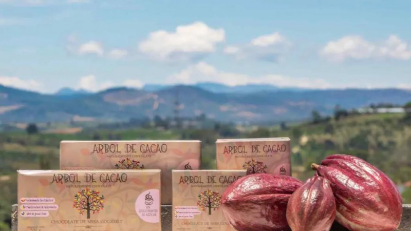 Chocolate de taza gourmet Árbol de Cacao panela libra